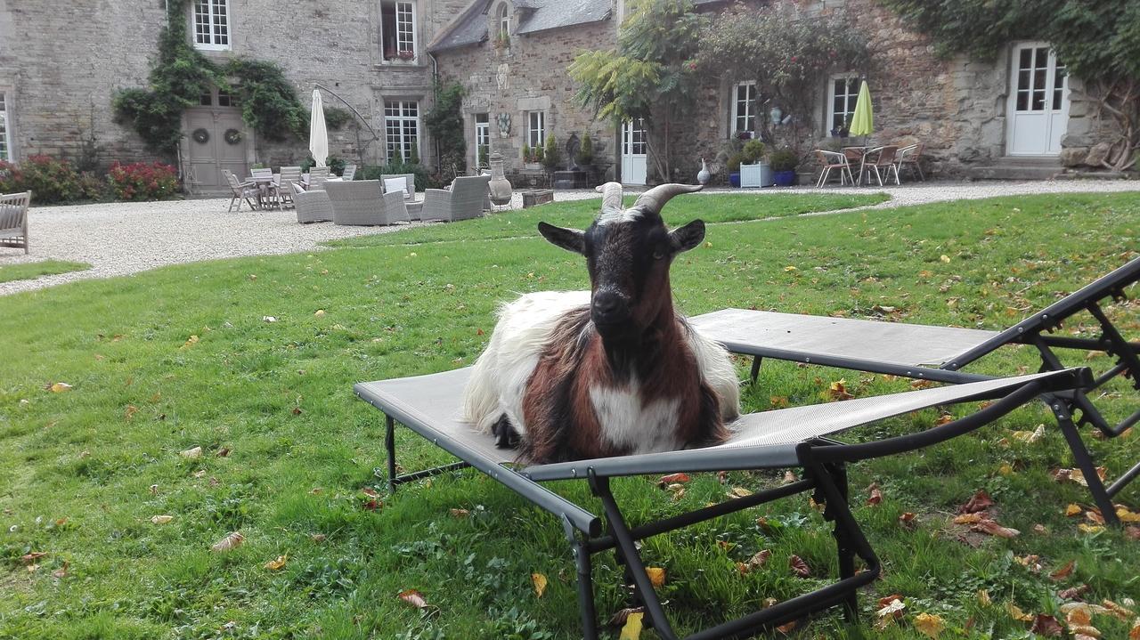 Manoir Du Quengo Bed and Breakfast Rohan Exteriör bild
